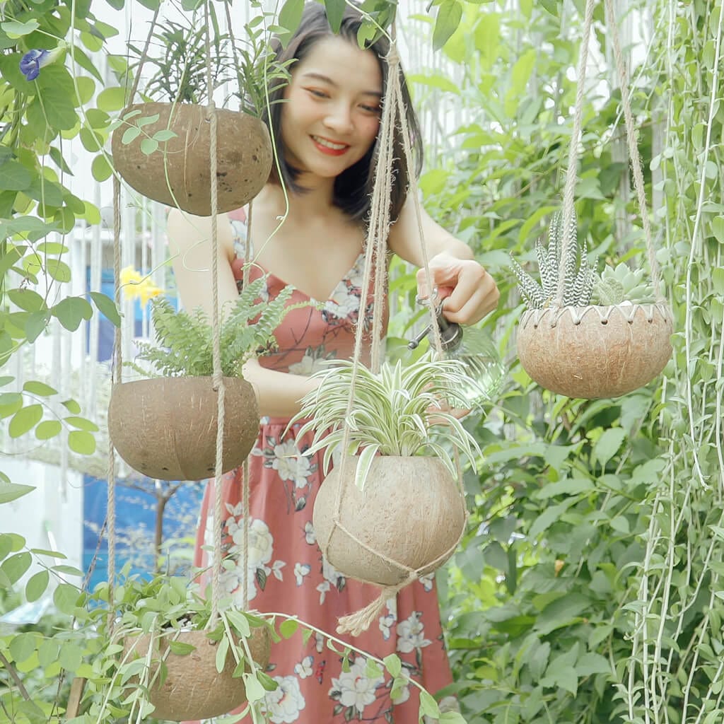 Hanging Coconut Planter