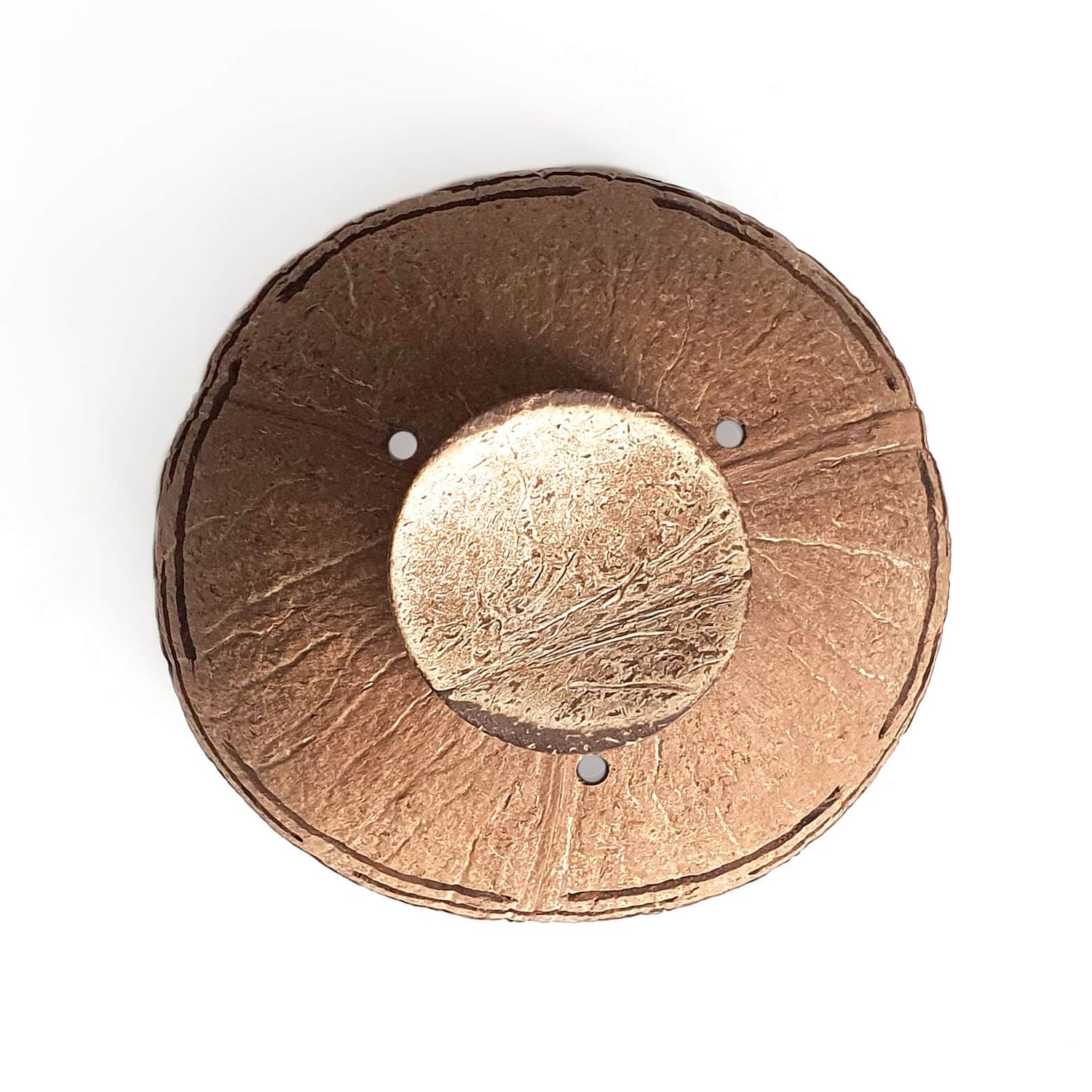 Horizons Coconut Planter
