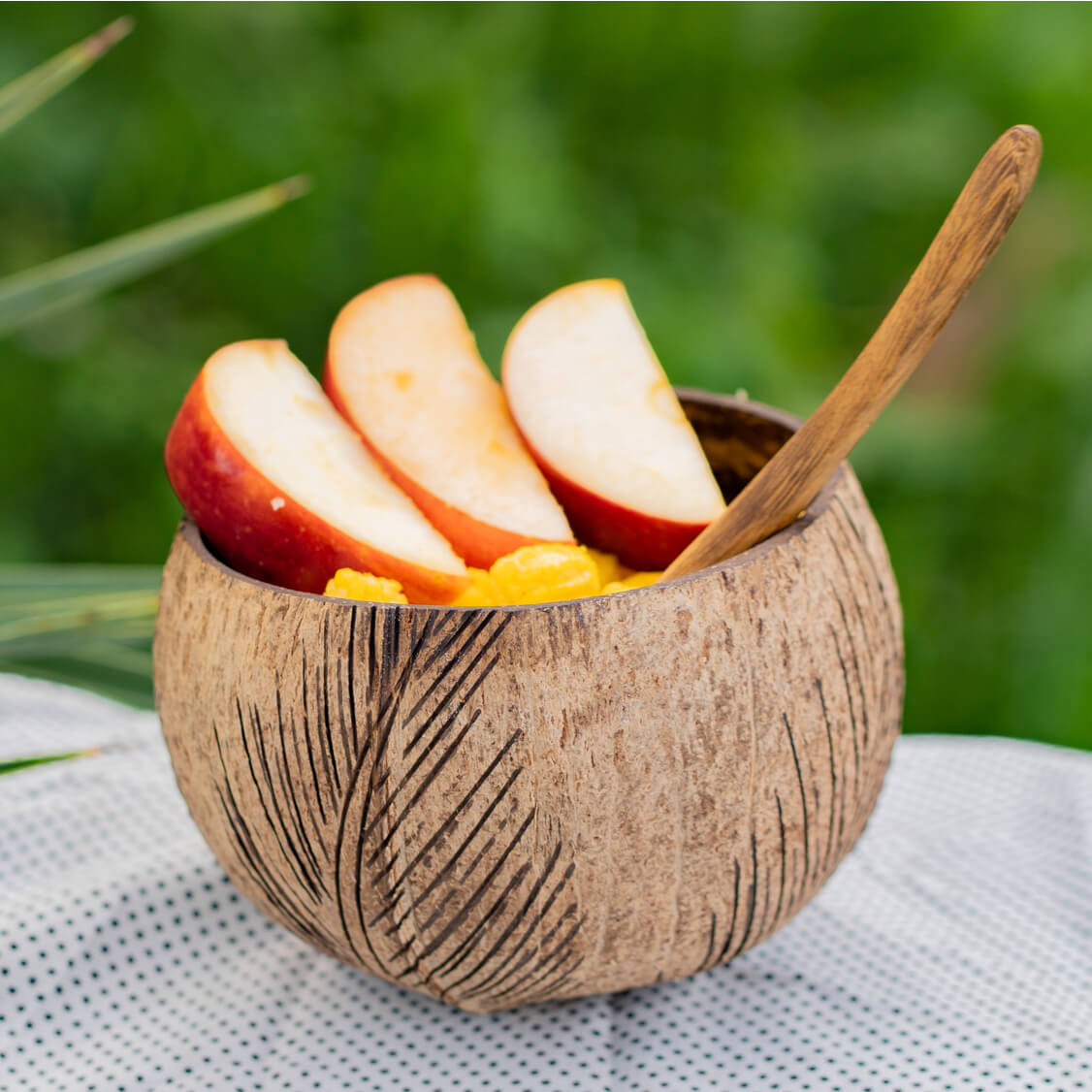 Palm Coconut Bowl Kitchen Serve Set of 2