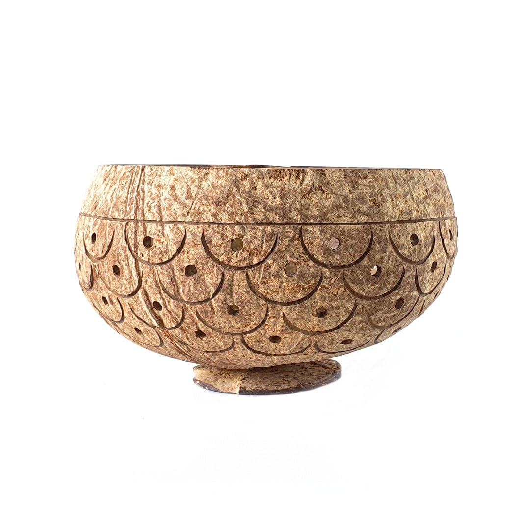 Dragon Scales Coconut Planter