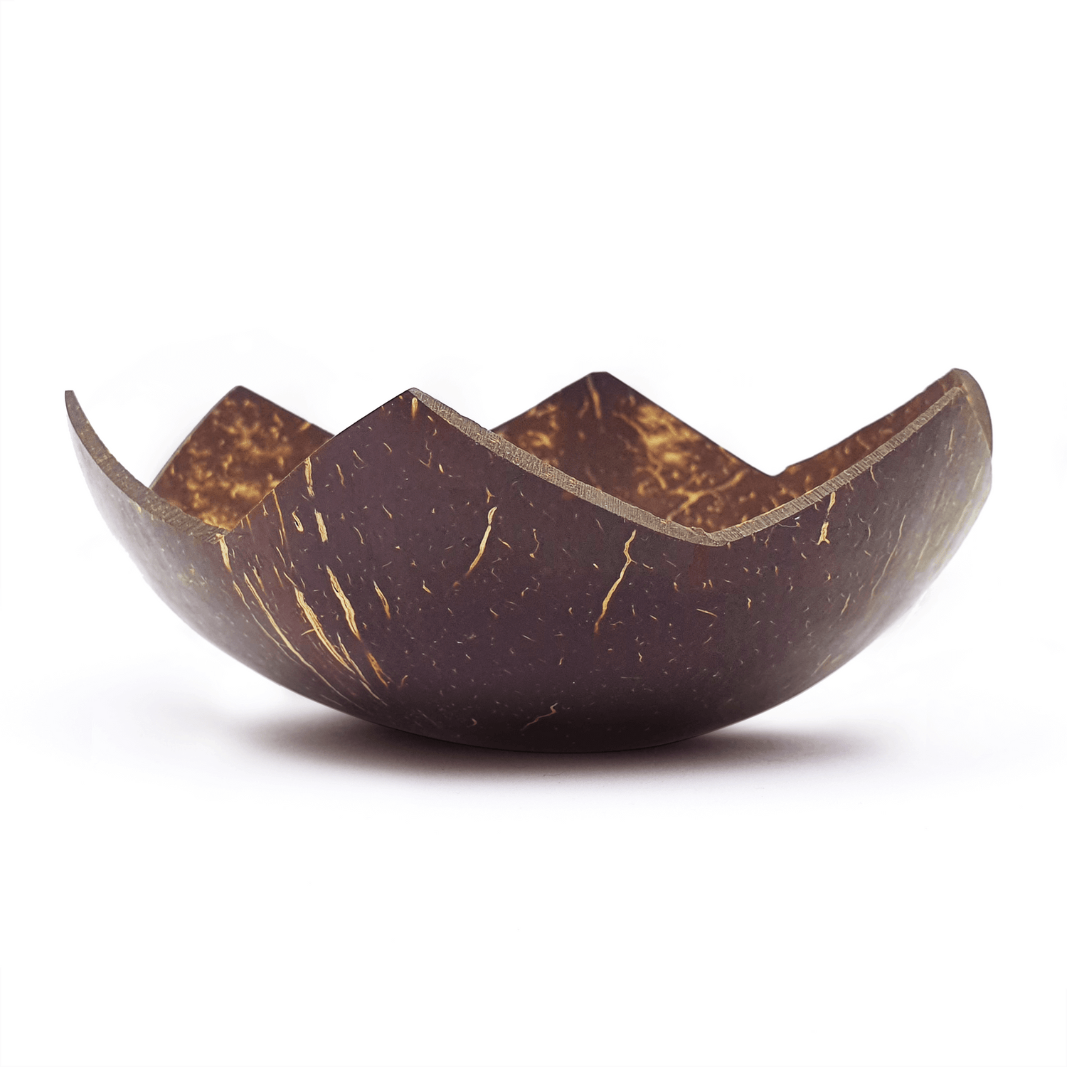 Star Coconut Bowls Kitchen Serve Set of 2